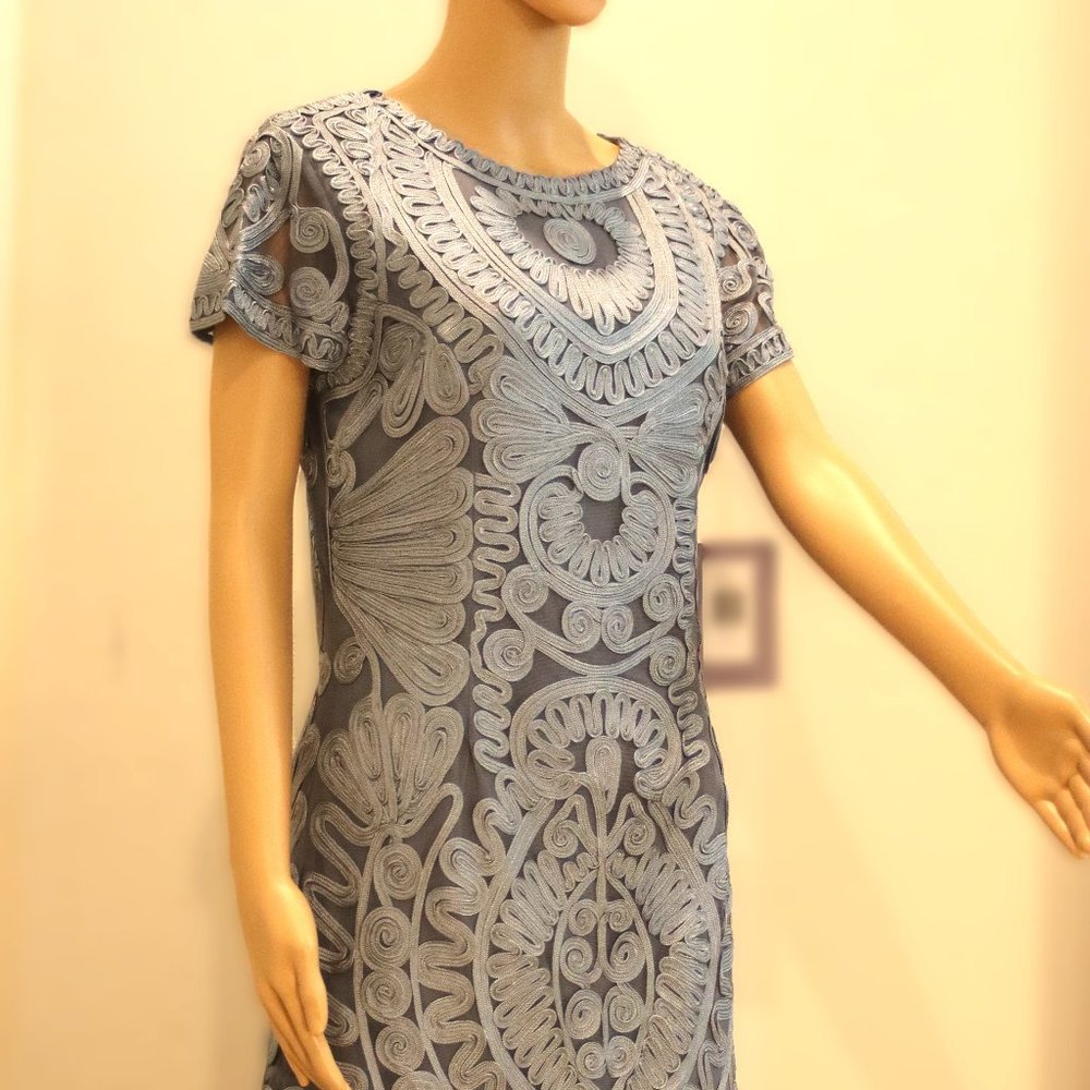 JS COLLECTIONS New SOUTACHE Ribbon Lace Mesh Stretch Sheath DRESS
